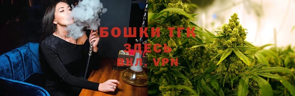 мет Алексин