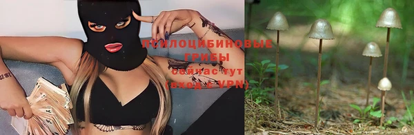 молекула духа Алзамай