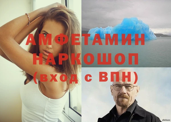 мет Алексин