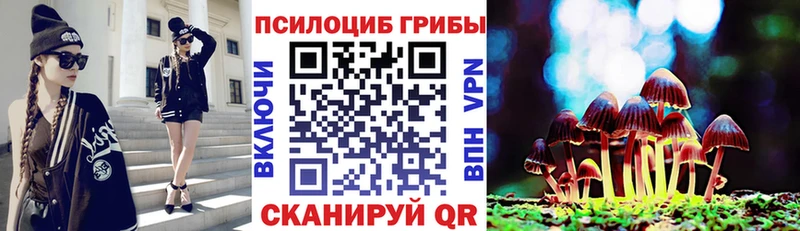 Псилоцибиновые грибы мухоморы  купить наркотики цена  Северодвинск 